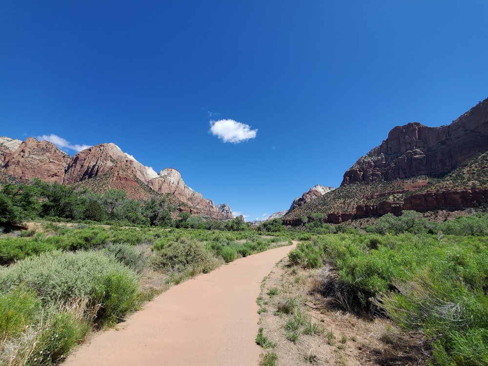 pathway between green grass and mountain during daytime