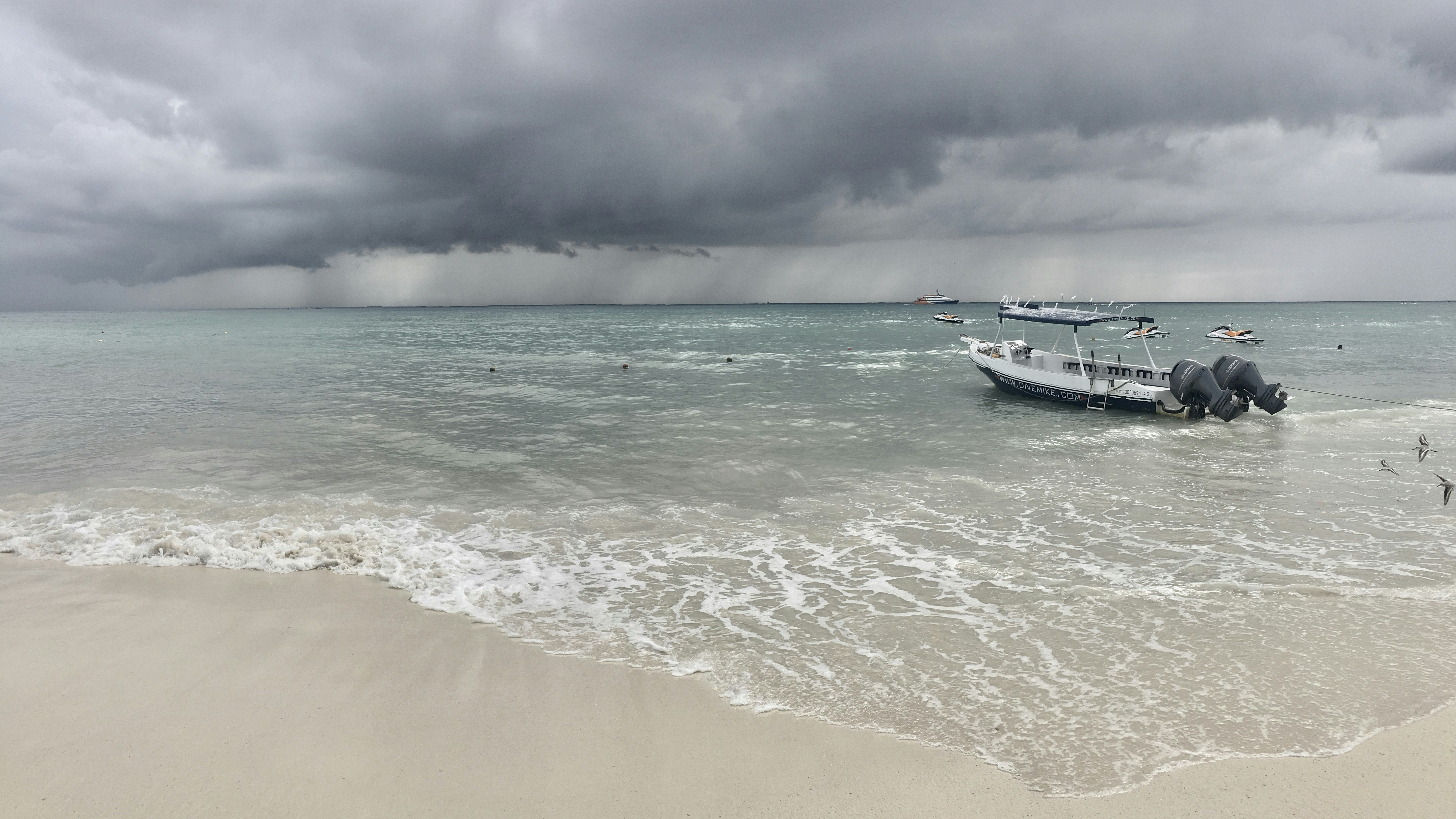 white boat on seashore