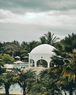people near swimming pool beside white dome building surrounded with tall and green trees under white and gray skies