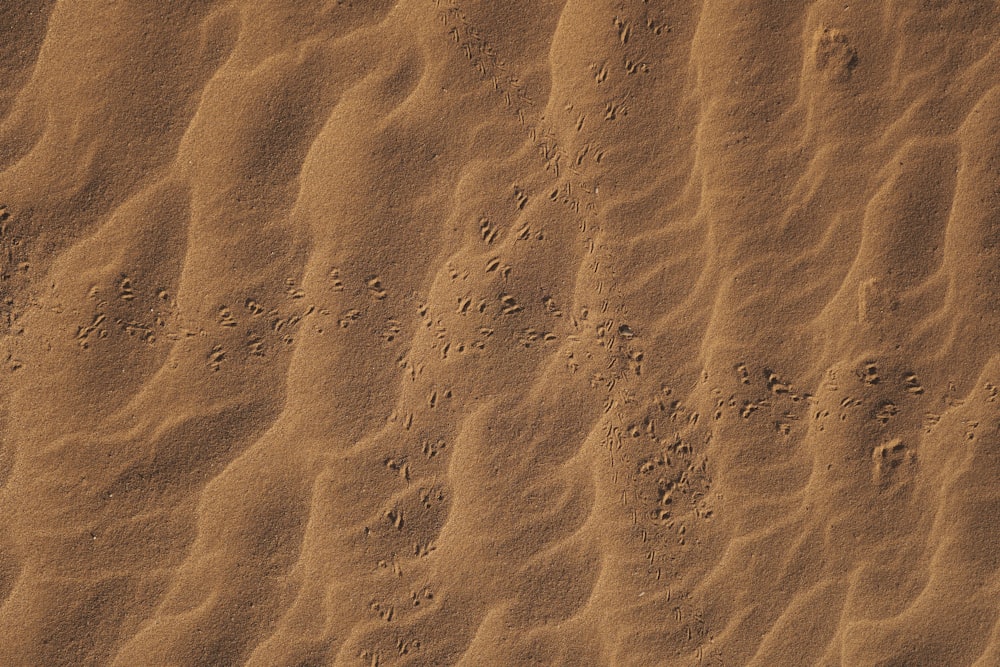 foot print on sand