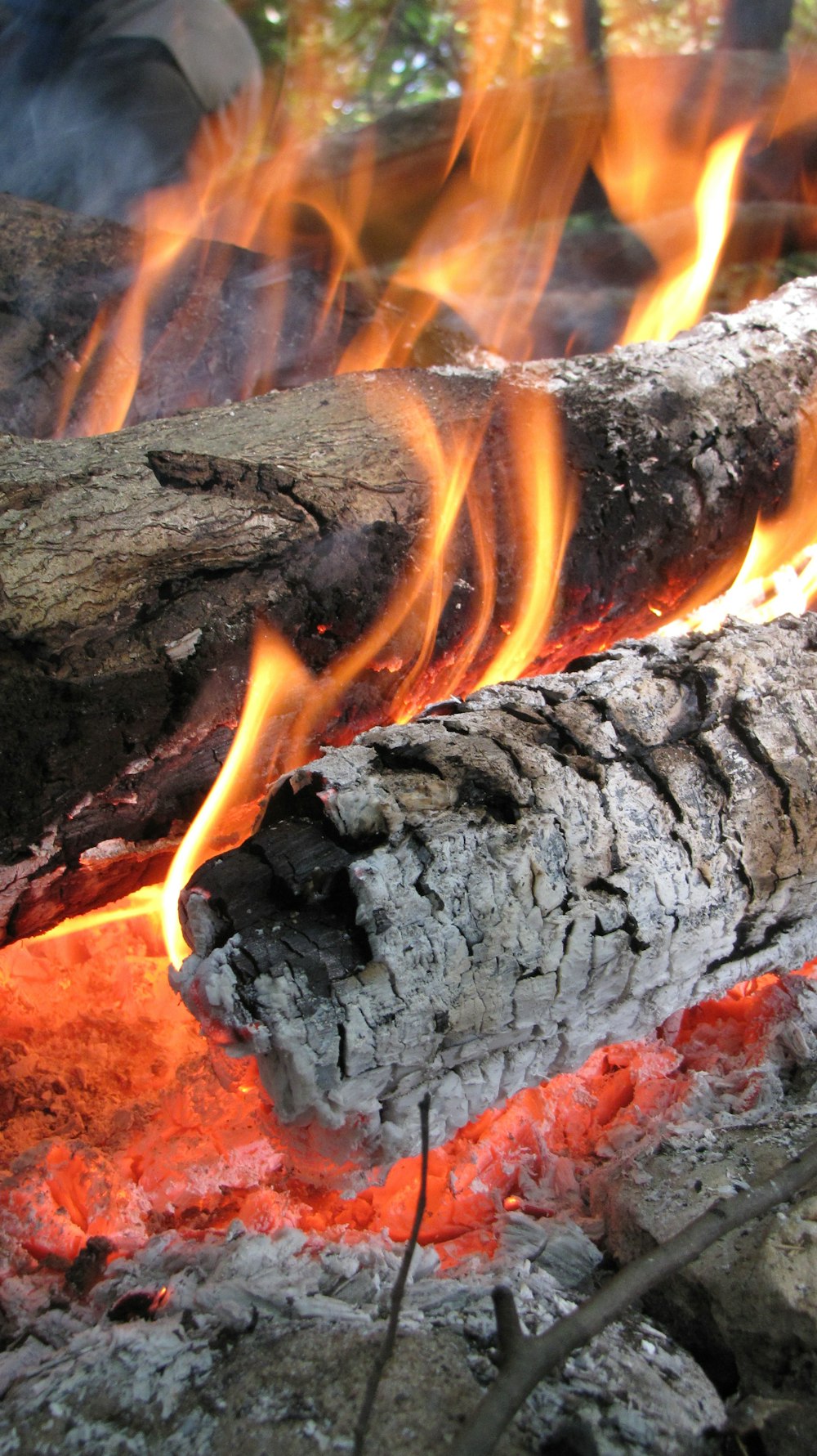 burning wood during daytime