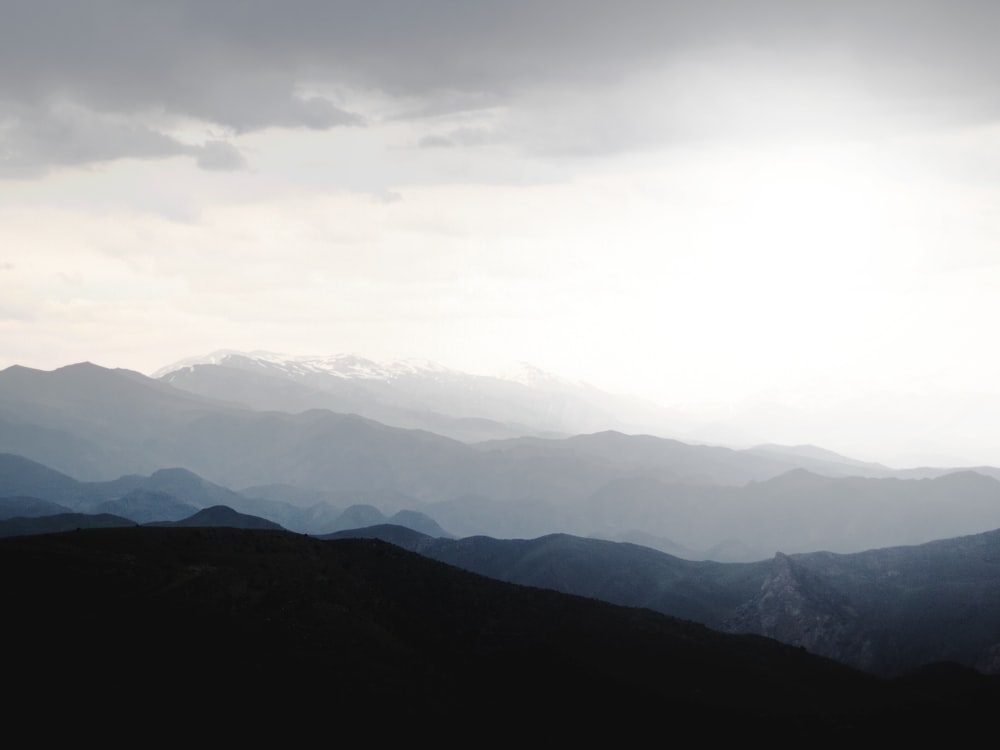 fogs covered hills