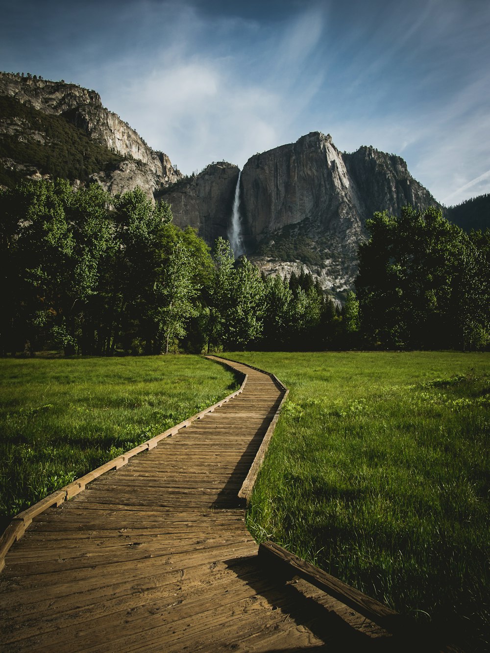 brown pathway on green grass field