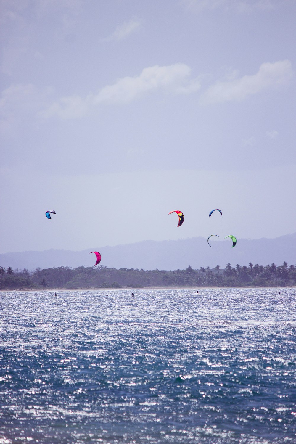 parachute flying above ocean during daytime