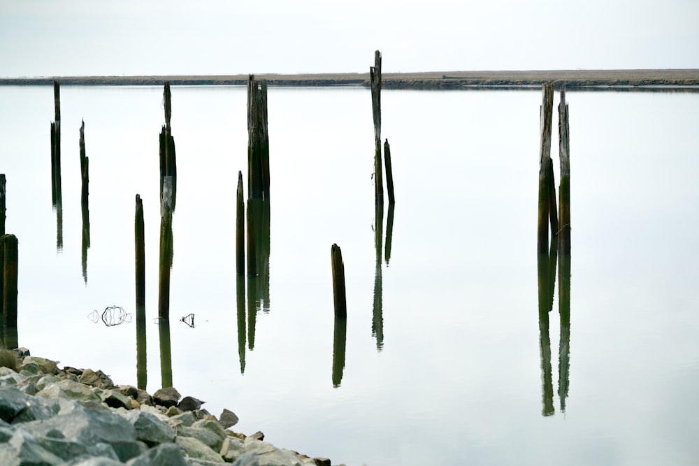 body of water during daytime