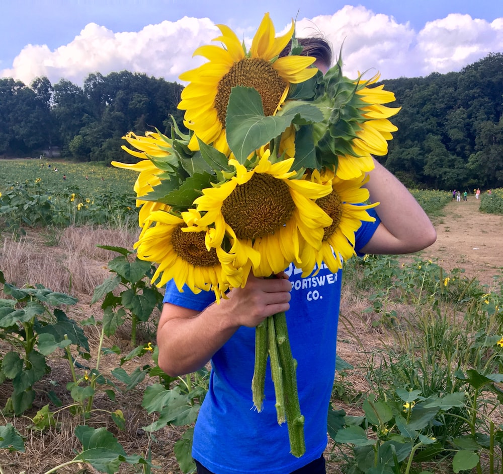 person holding bunch of sunflowers in field