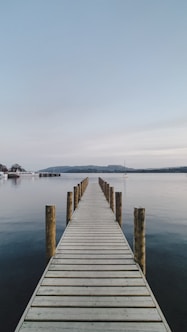 white wooden dock