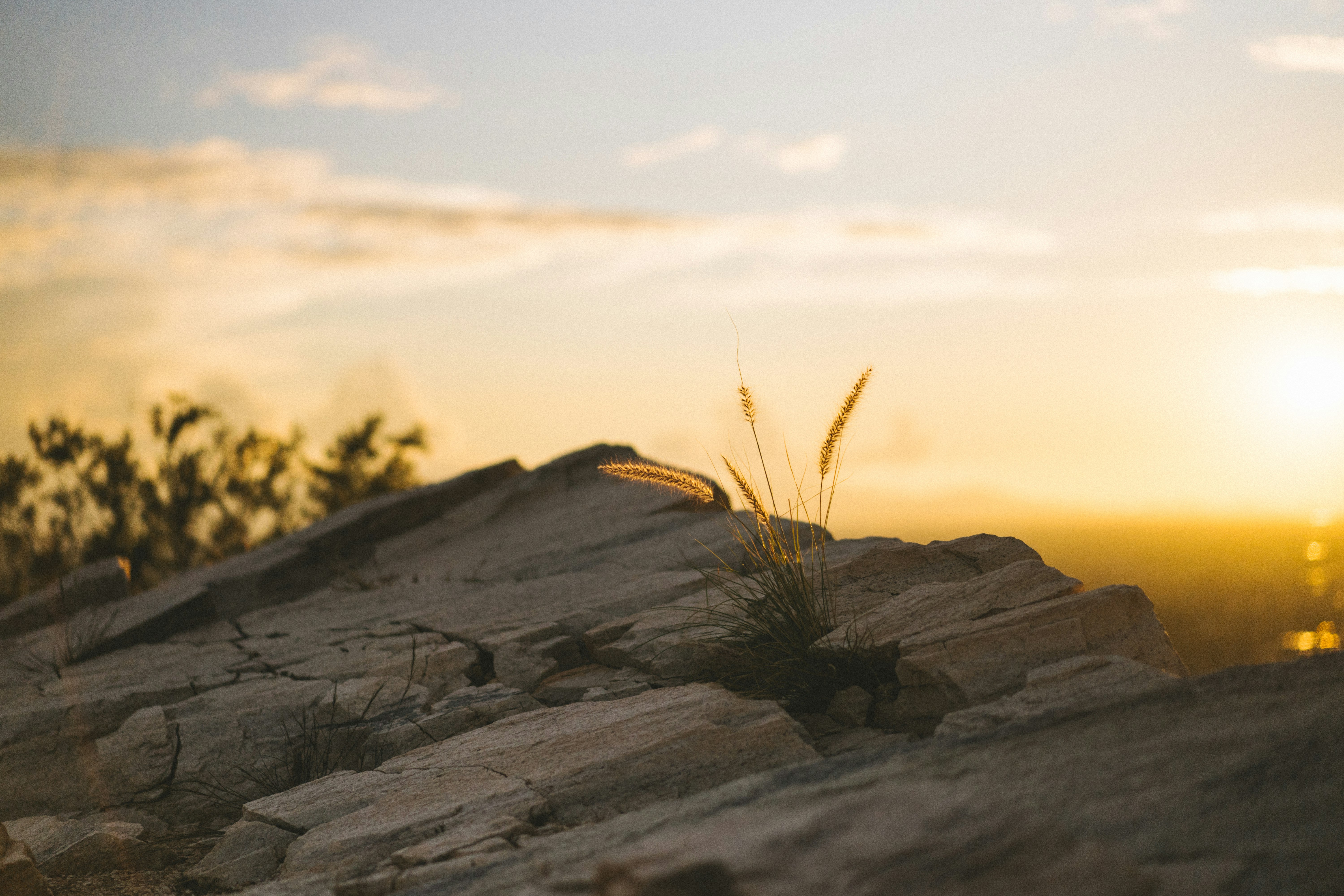 sunset photography