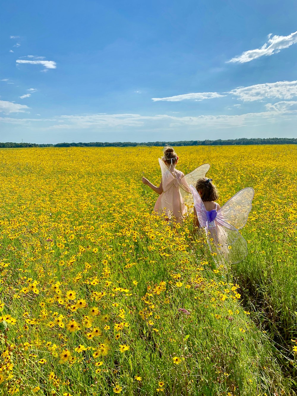 두 소녀가 요정 드레스를 입고 노란 꽃밭을 걷고 있다.