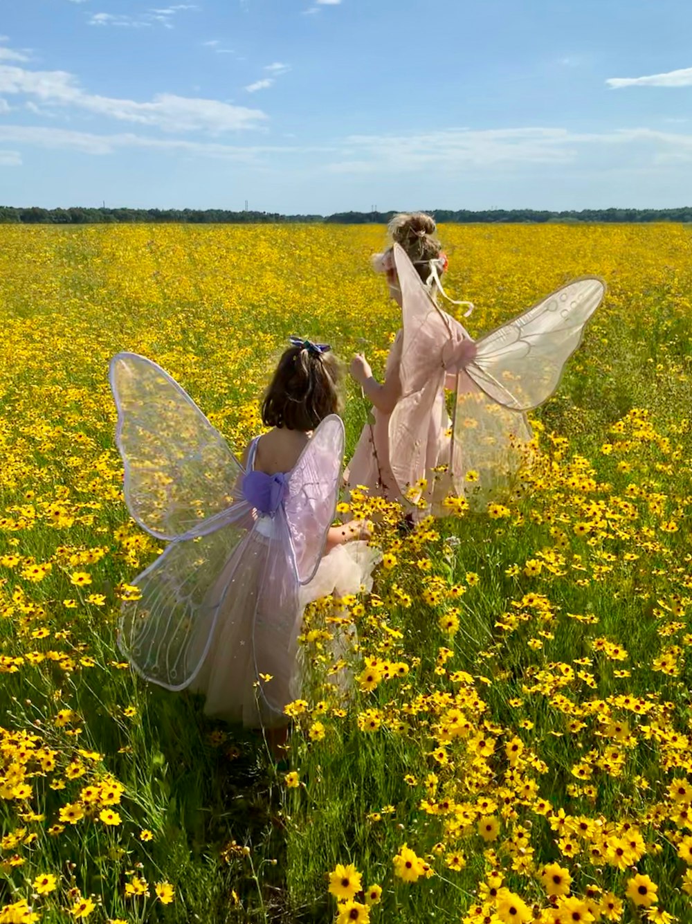 two girls wearing pink and purple dresses with wings