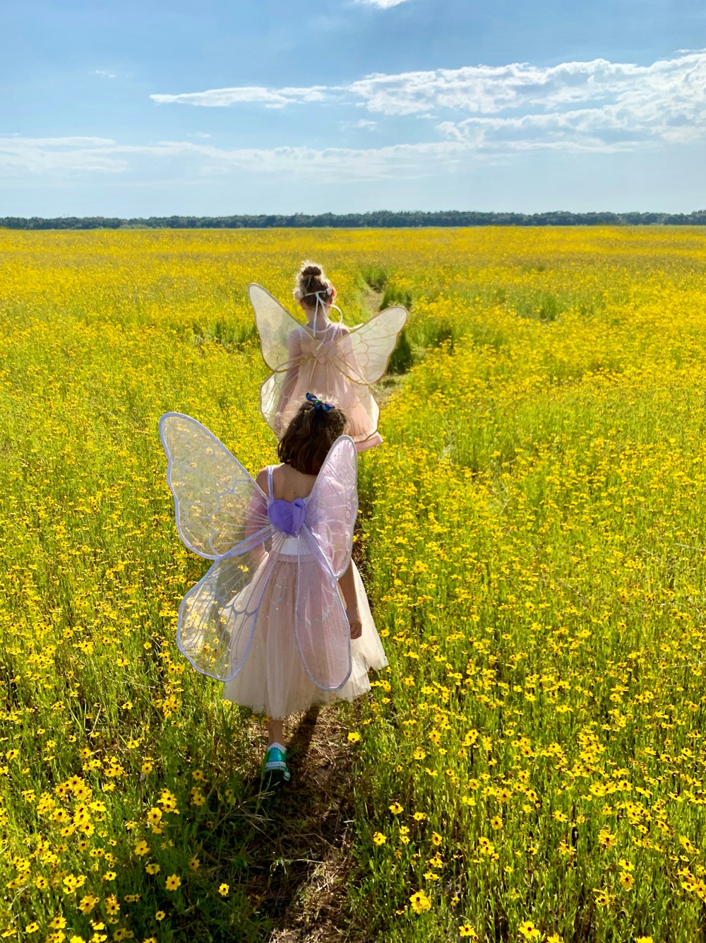 duas meninas andando perto do campo de flores