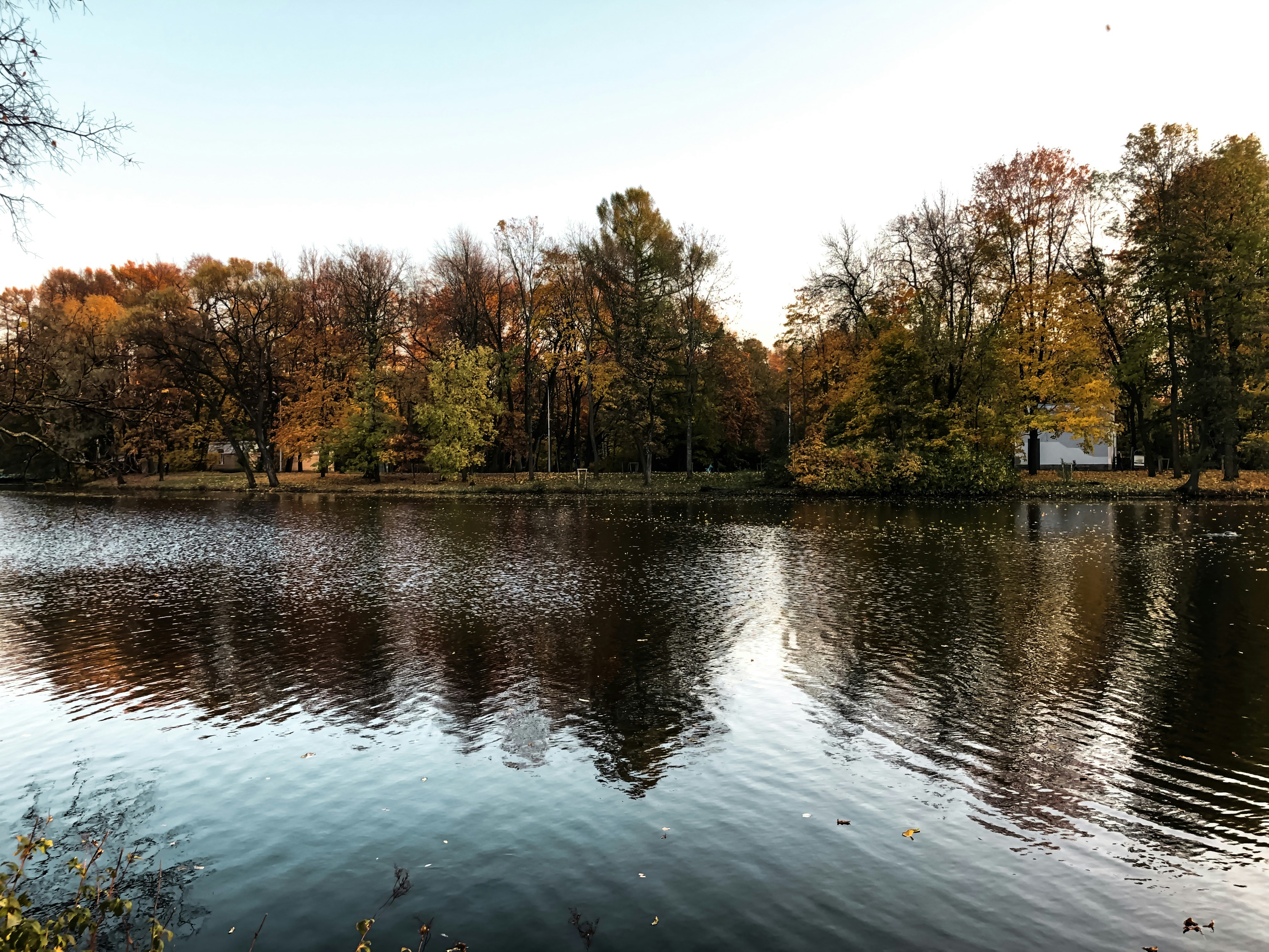 Photo by dmitriiiakovlev