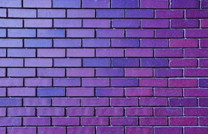 Photo 1558481795 7f0a7c906f5e?q=85&w=300&h=400&fit=crop