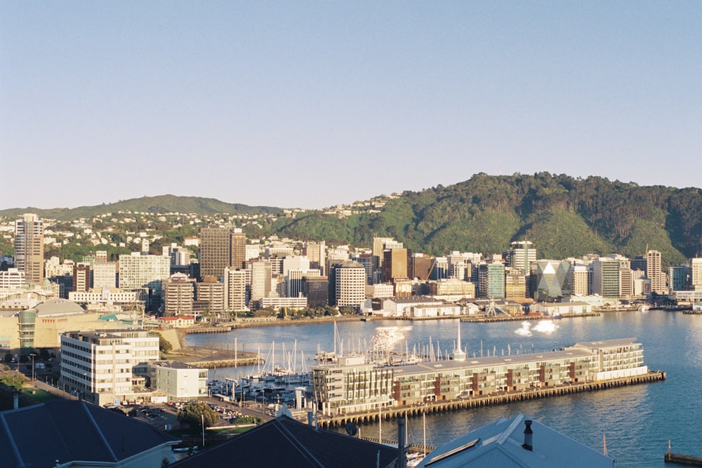 buildings near body of water