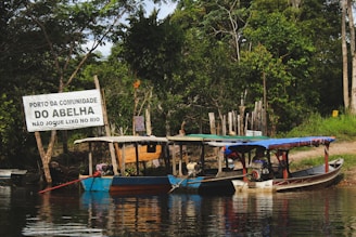 A serene riverside scene featuring several wooden boats moored along a lush, green shoreline. A noticeable sign reads 'Porto da Comunidade do Abelha' with a message asking not to throw waste into the river. The area is surrounded by dense vegetation and trees, with a rustic fence visible in the background.