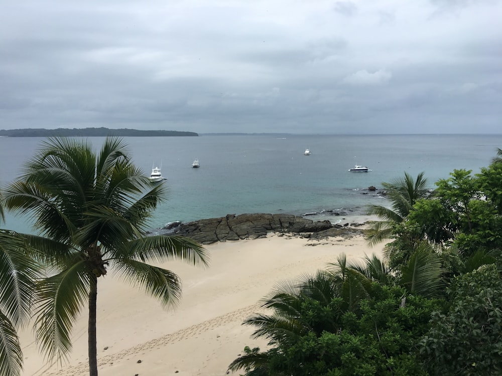 several boats anchored near beach under grey cloudy sky