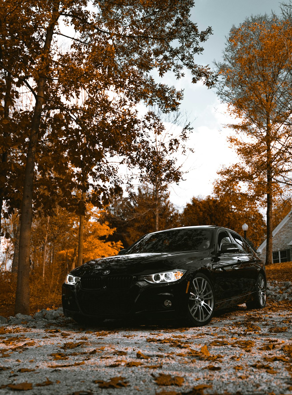 black BMW 3-series sedan parked beside tree
