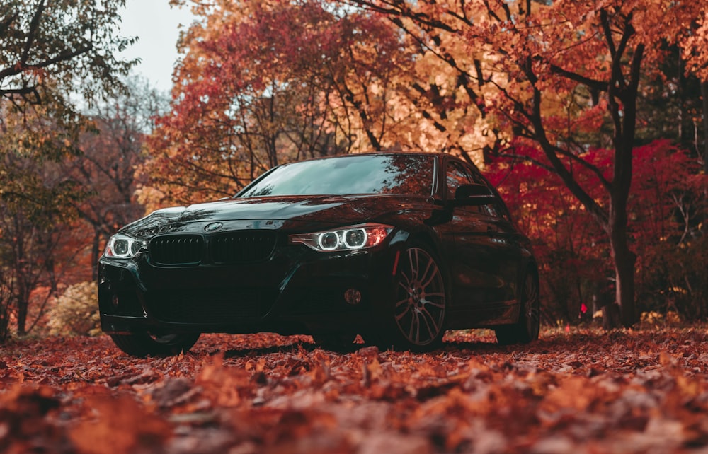 schwarzes BMW-Fahrzeug