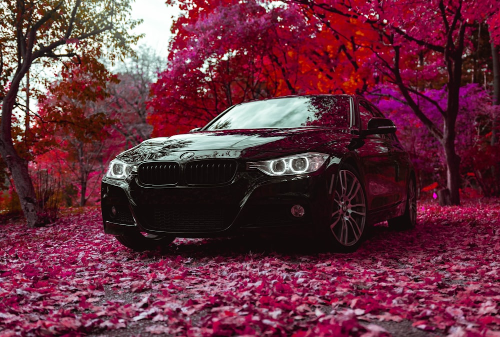 sedán BMW negro estacionado cerca de un árbol rojo