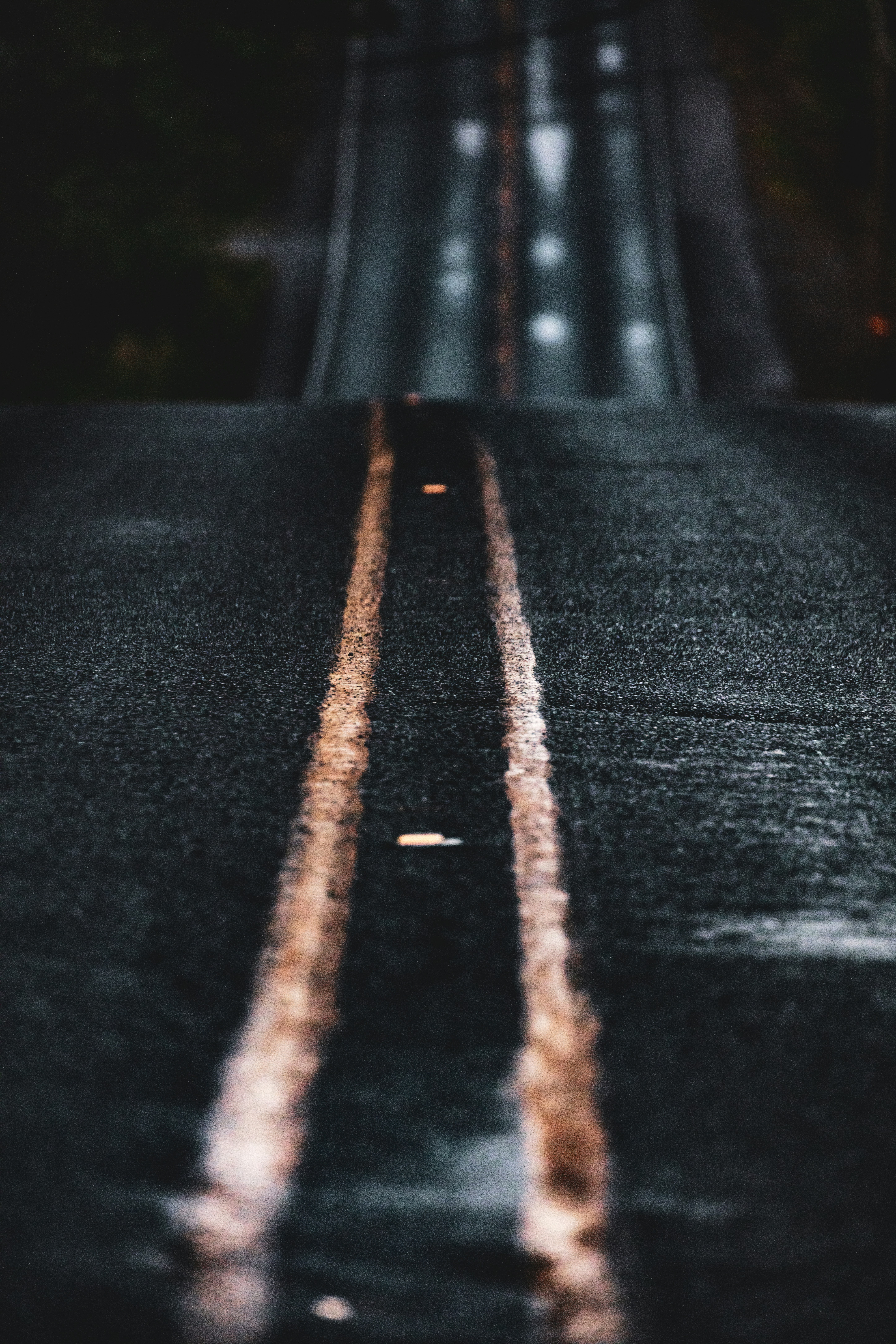 Photo by worldsbetweenlines