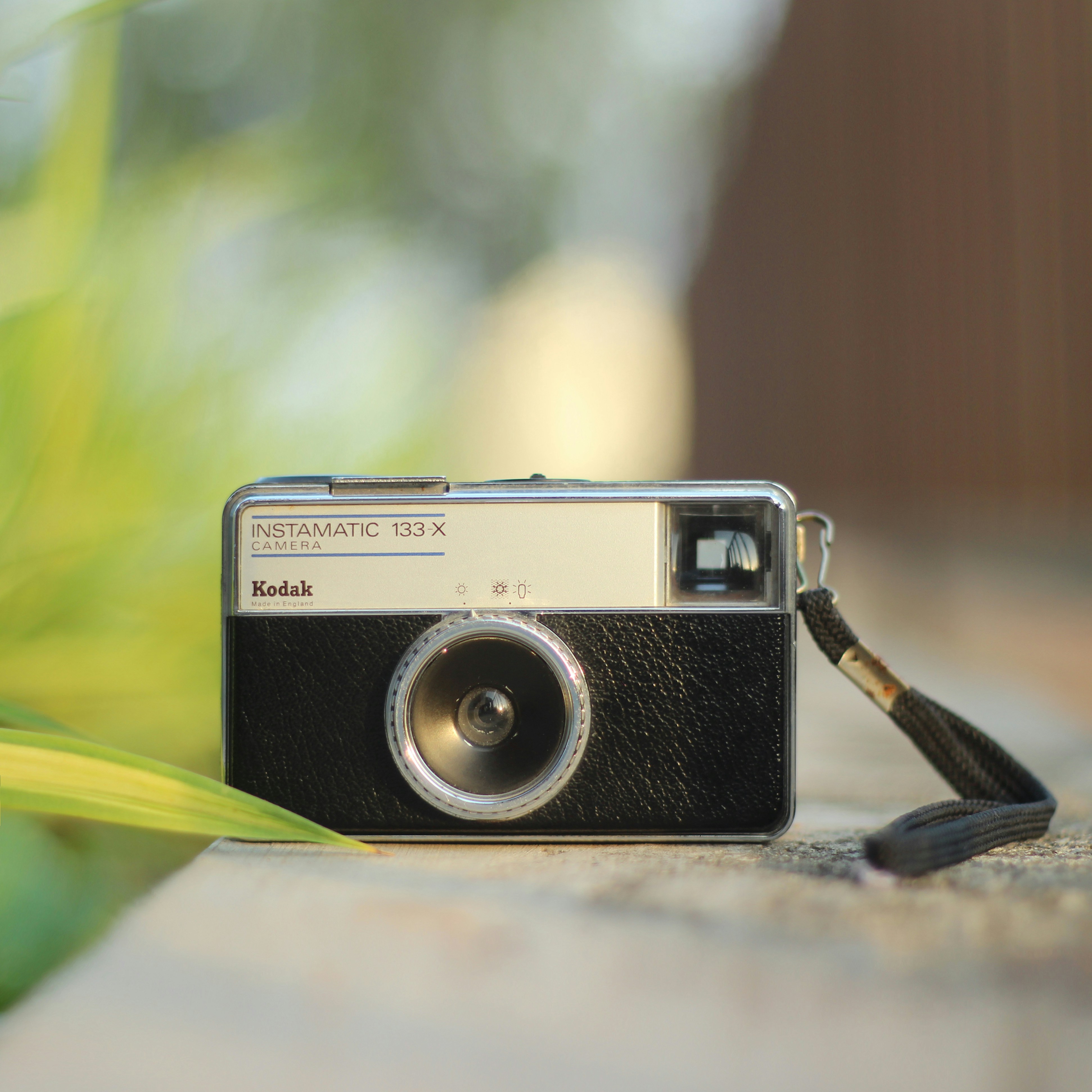 Photo by arunbabuthomas