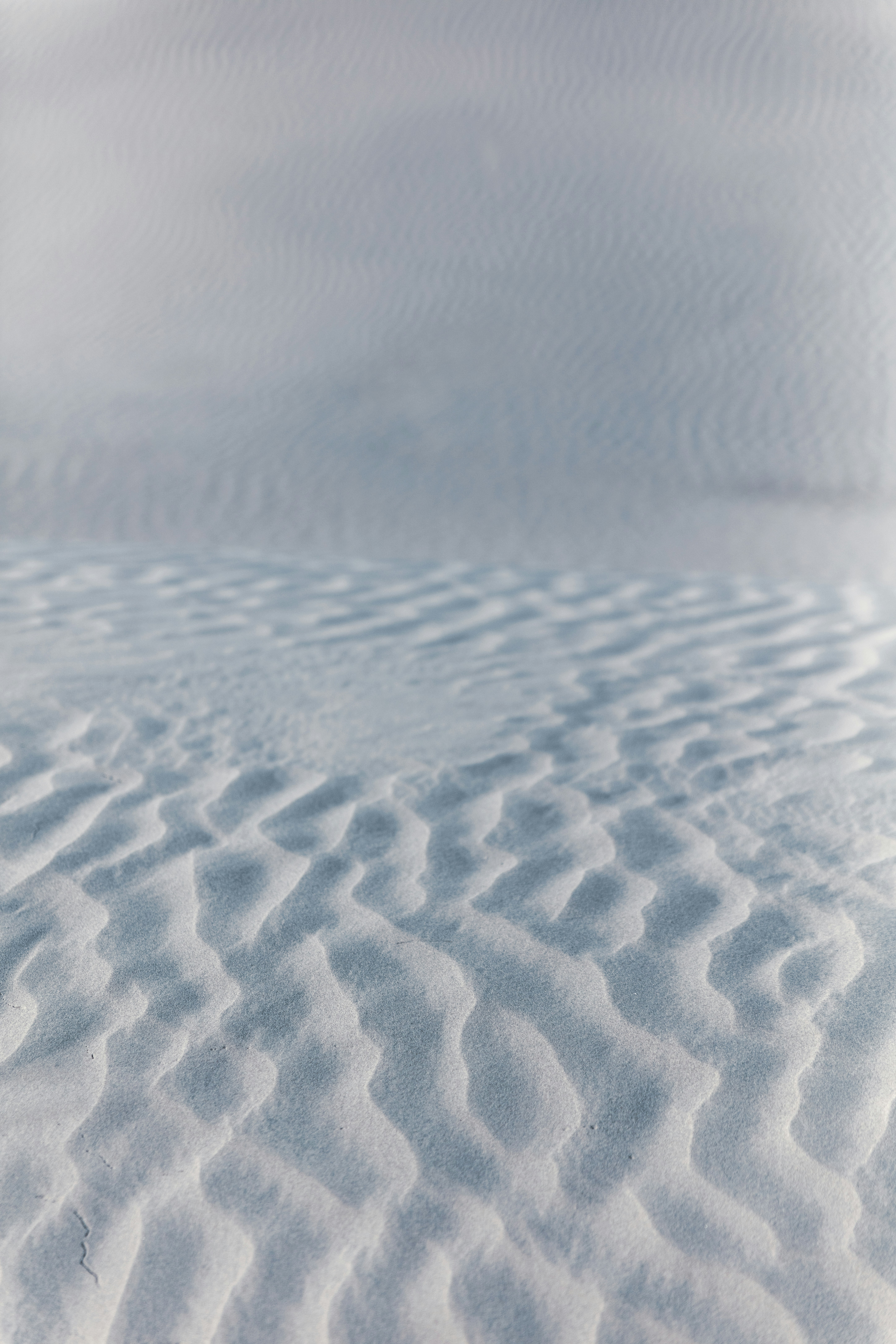 Photo by worldsbetweenlines