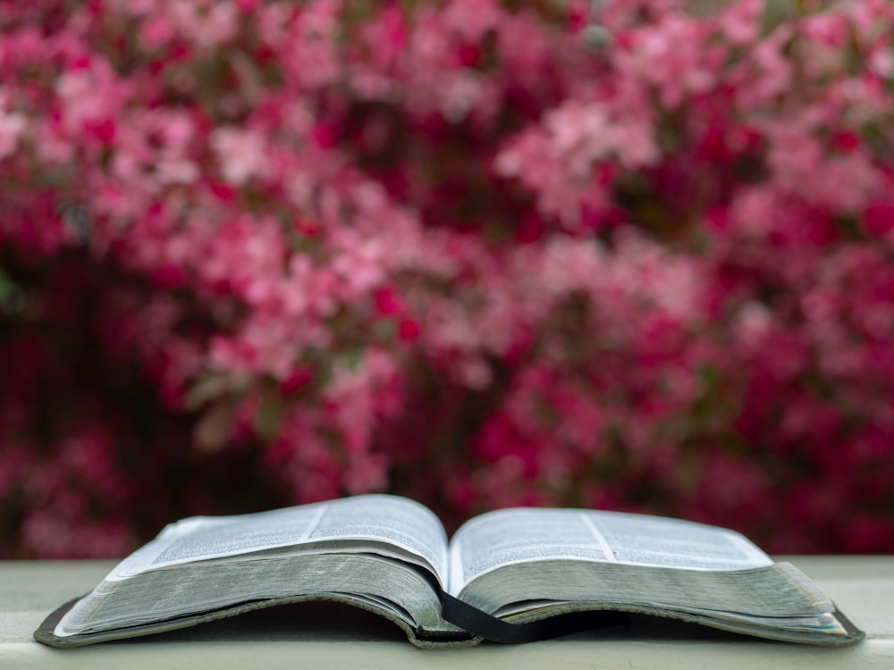 white and black labeled book selective focus photography