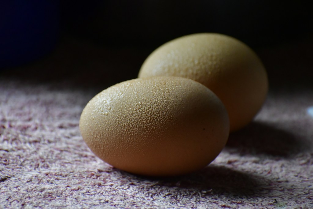 Telur Asin Omega