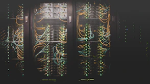 Network cables in a data centre rack