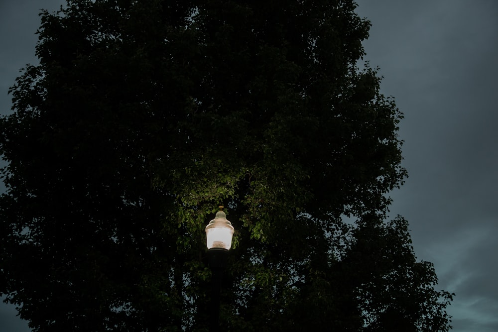 white lamp at night