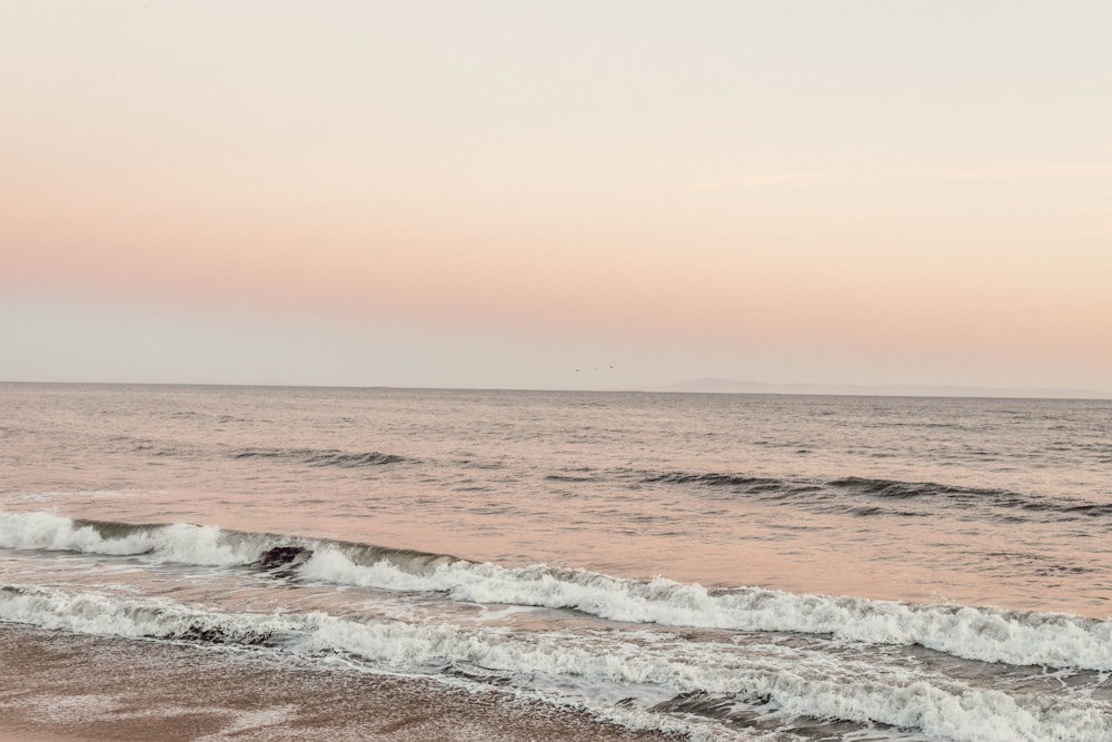 seashore during daytime