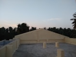 A flat, concrete rooftop with three rectangular pillars in the foreground. The roof is bordered by a low wall, and the top of a peaked structure is visible. In the background, a line of tall palm trees and dense foliage can be seen against a clear sky.
