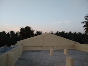 A flat, concrete rooftop with three rectangular pillars in the foreground. The roof is bordered by a low wall, and the top of a peaked structure is visible. In the background, a line of tall palm trees and dense foliage can be seen against a clear sky.