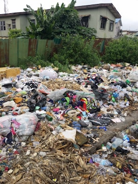 garbage near house