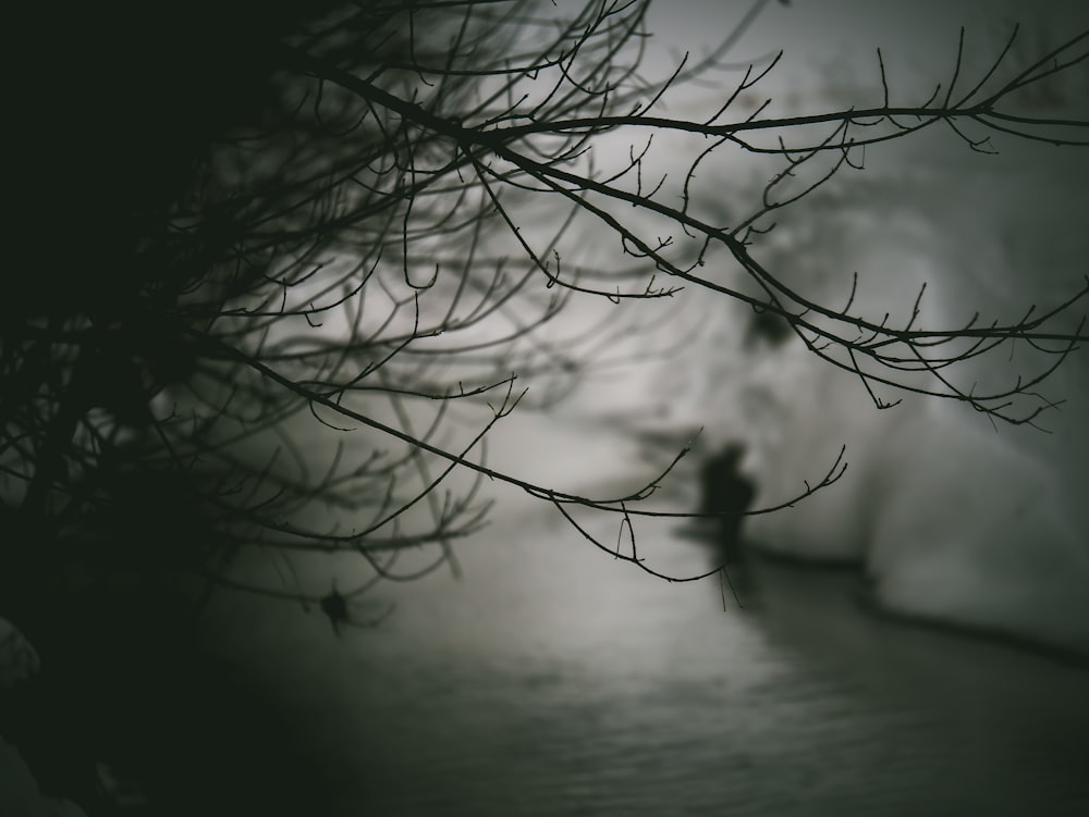 a person walking down a street next to a tree