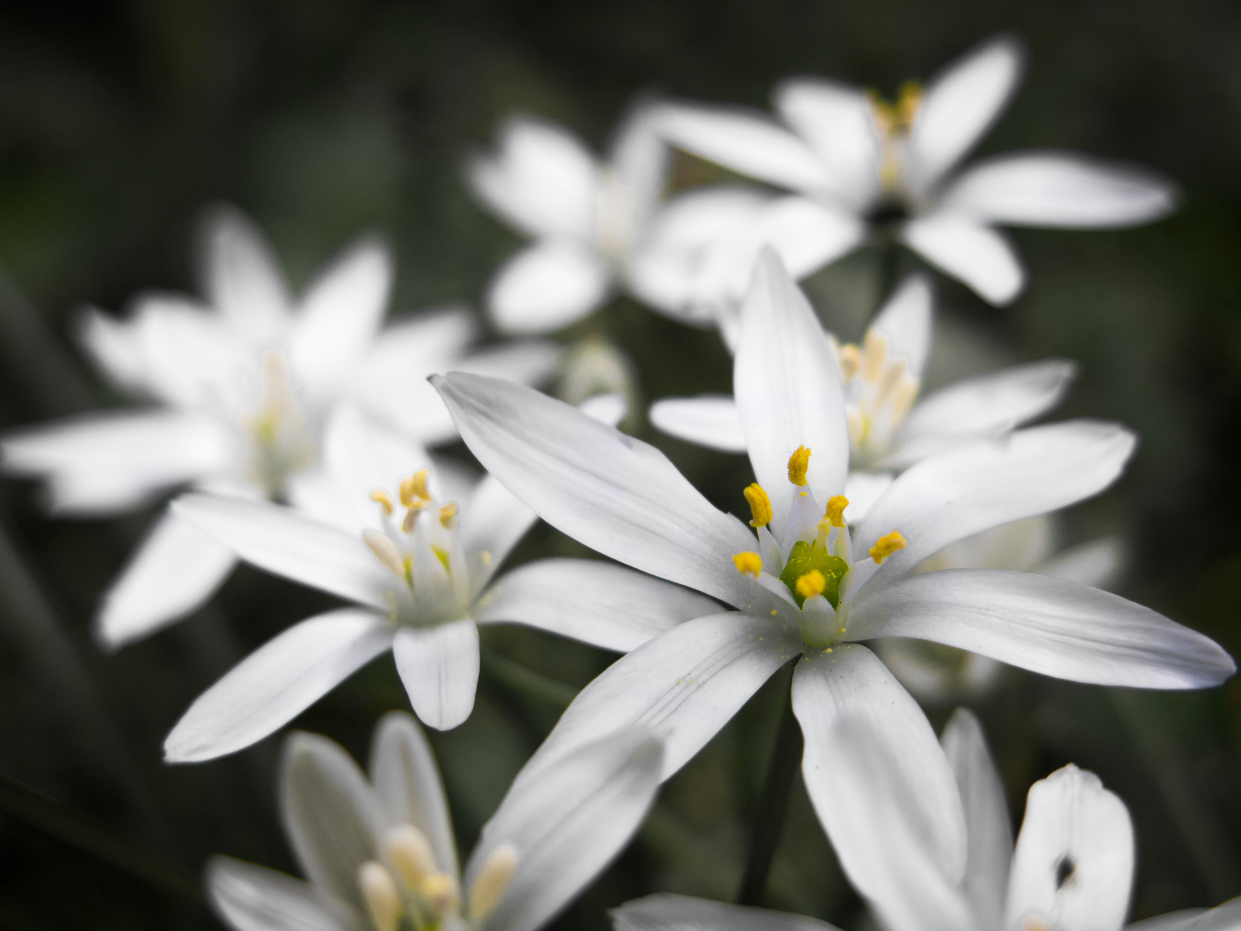 Photo by elizabeth_kay