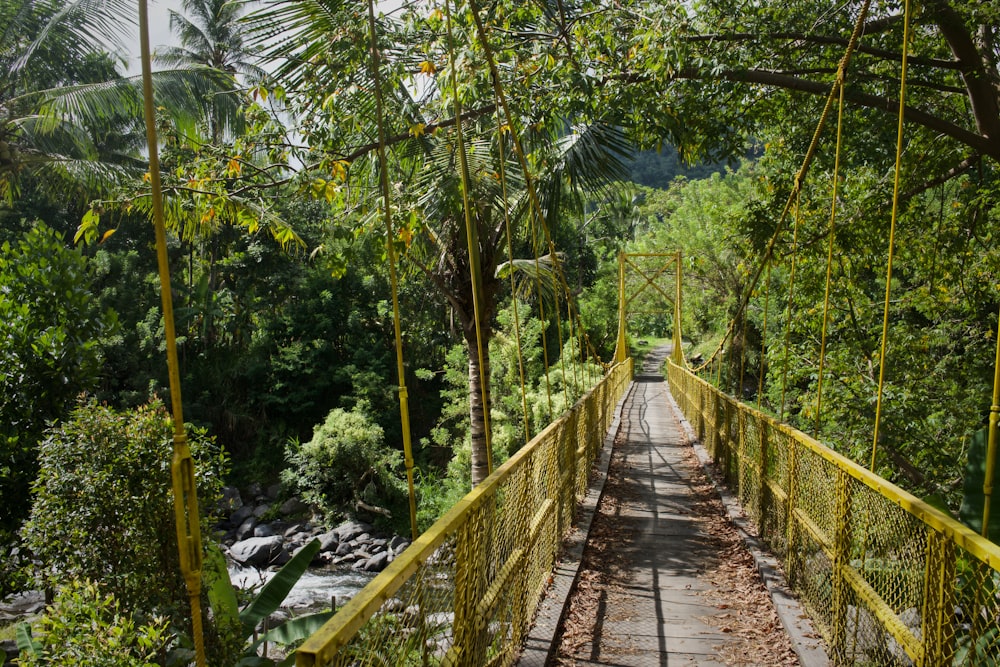 a wooden bridge over a river surrounded by trees