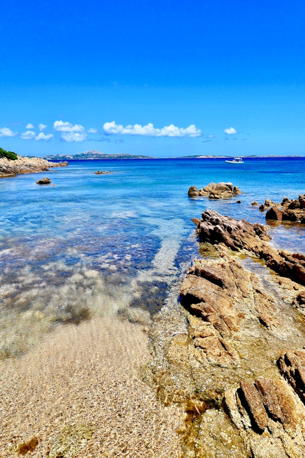 Discover Palau: A Comprehensive Travel Guide