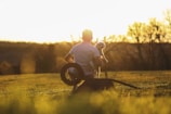 A person in a wheelchair is sitting on a grassy field holding a small dog, with the sun setting in the background. The scene is tranquil, with soft golden hues from the sunset illuminating the landscape and silhouetting the trees in the distance.