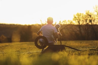 A person in a wheelchair is sitting on a grassy field holding a small dog, with the sun setting in the background. The scene is tranquil, with soft golden hues from the sunset illuminating the landscape and silhouetting the trees in the distance.
