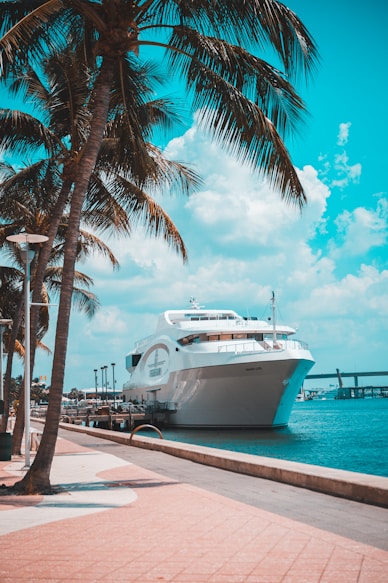 yacht parked near trees