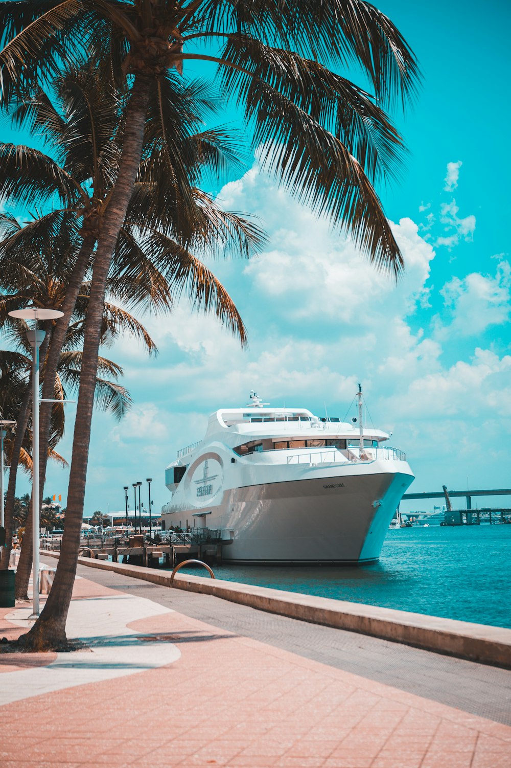 yacht parked near trees