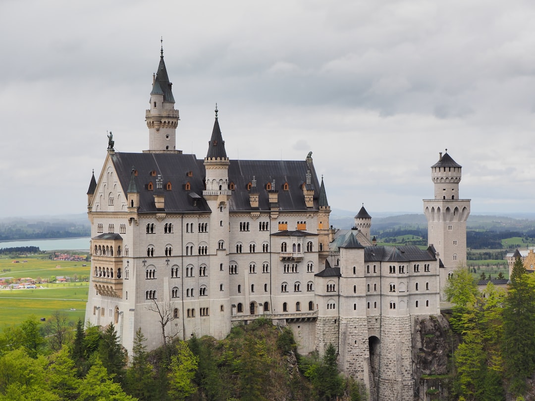 beige castle near trees,