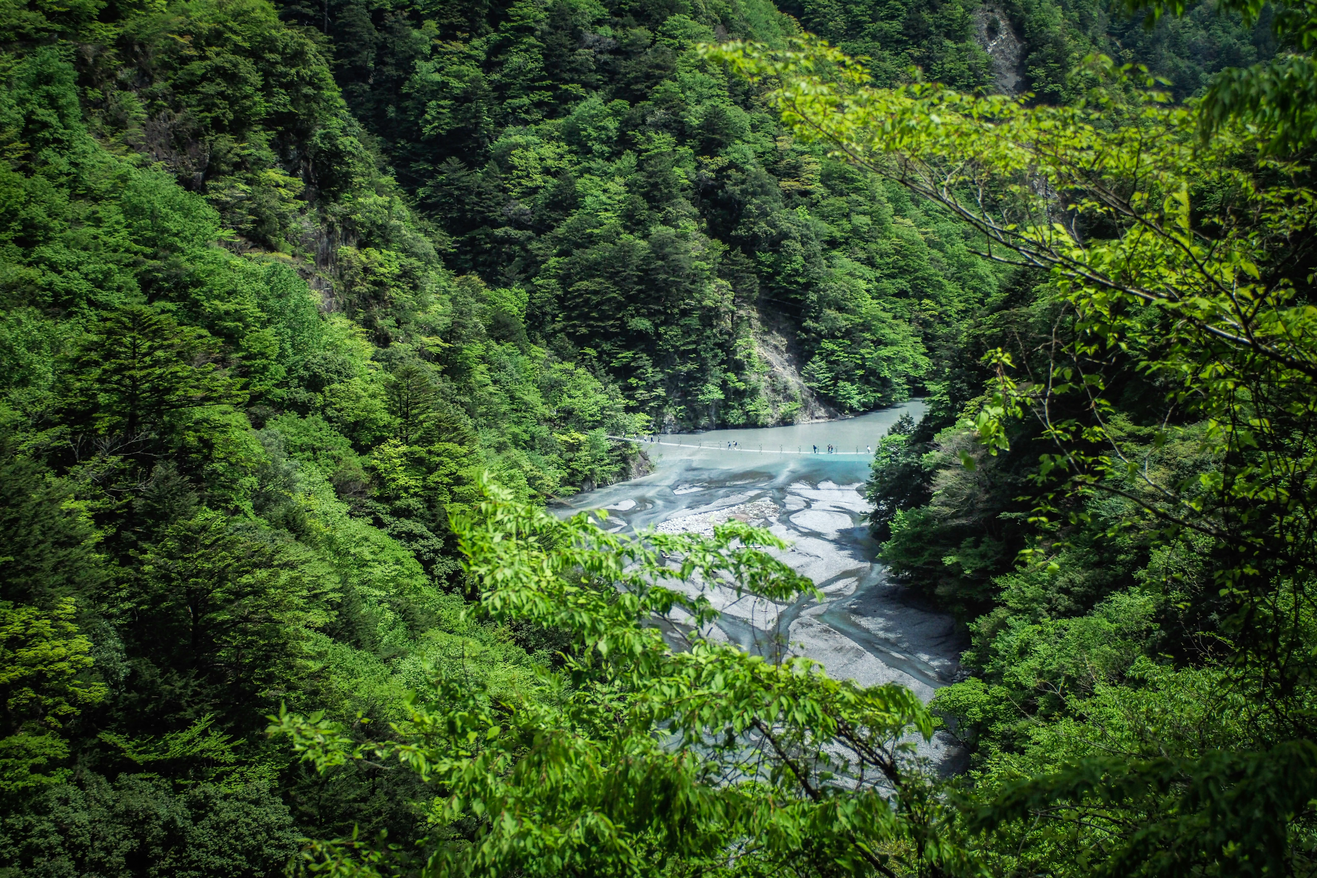 Photo by shimikumi32