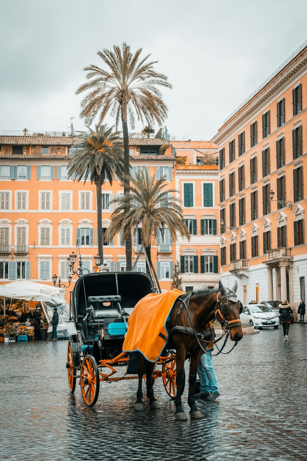 brown horse carrying black carriage