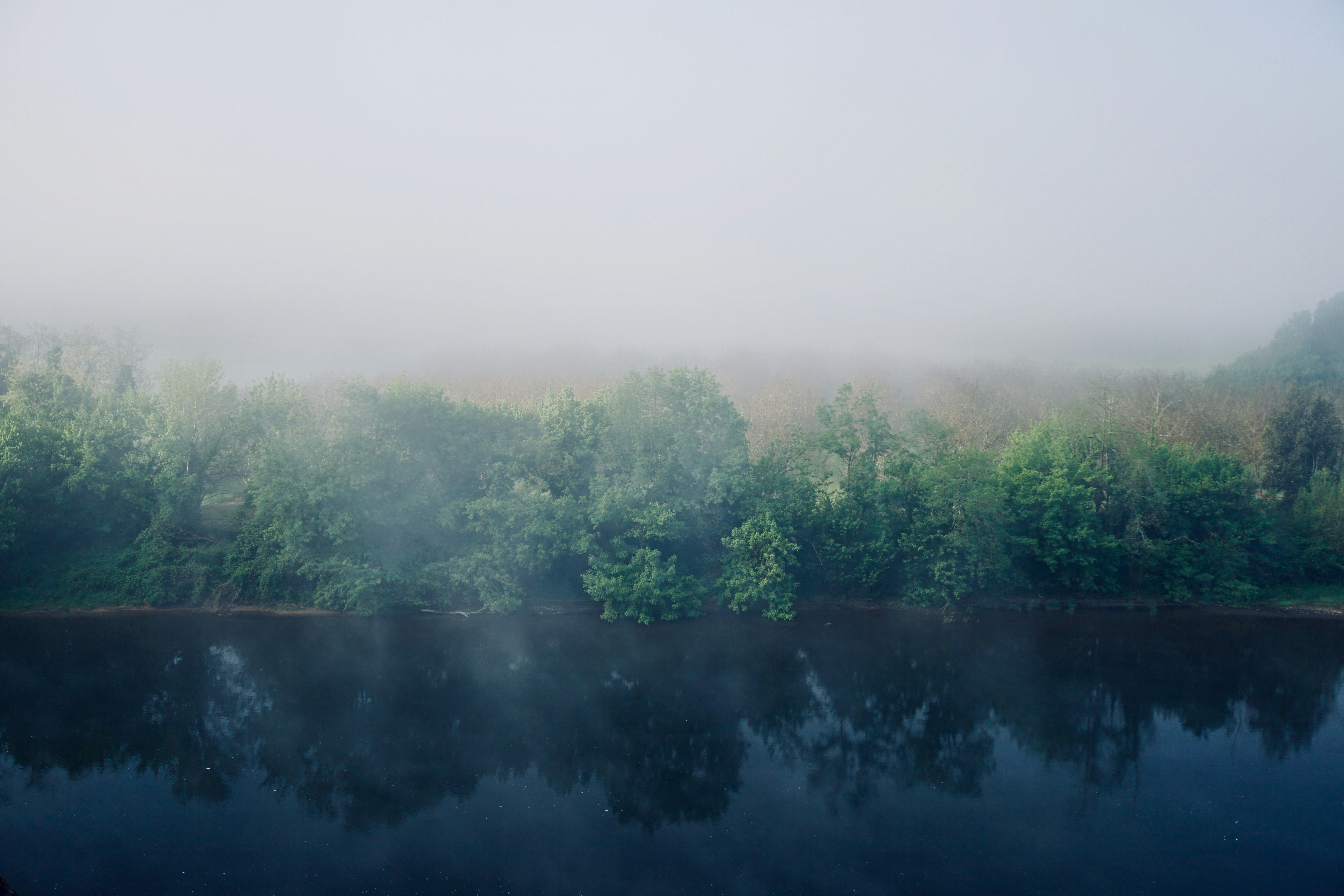 Photo by erwanhesry