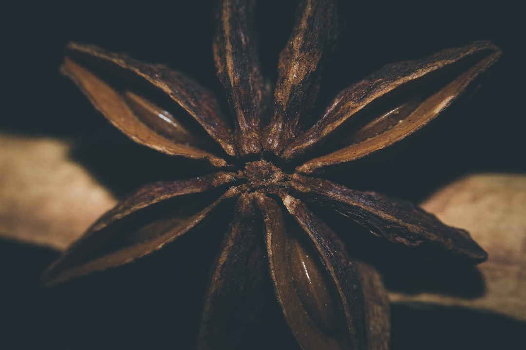 selective focus photography of wooden flower
