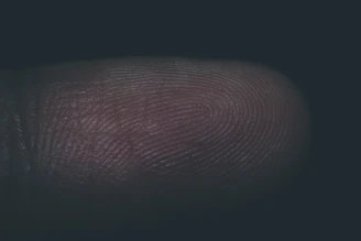 Close-up of a forensic investigator examining fingerprint patterns under specialized lighting.