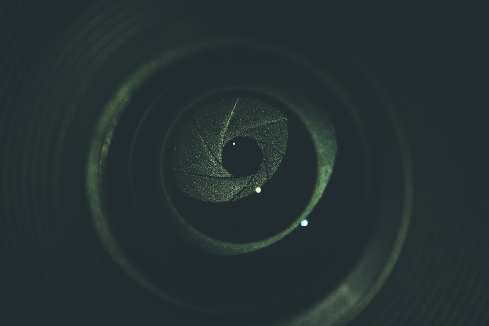 a close up of a green leaf with a dark background