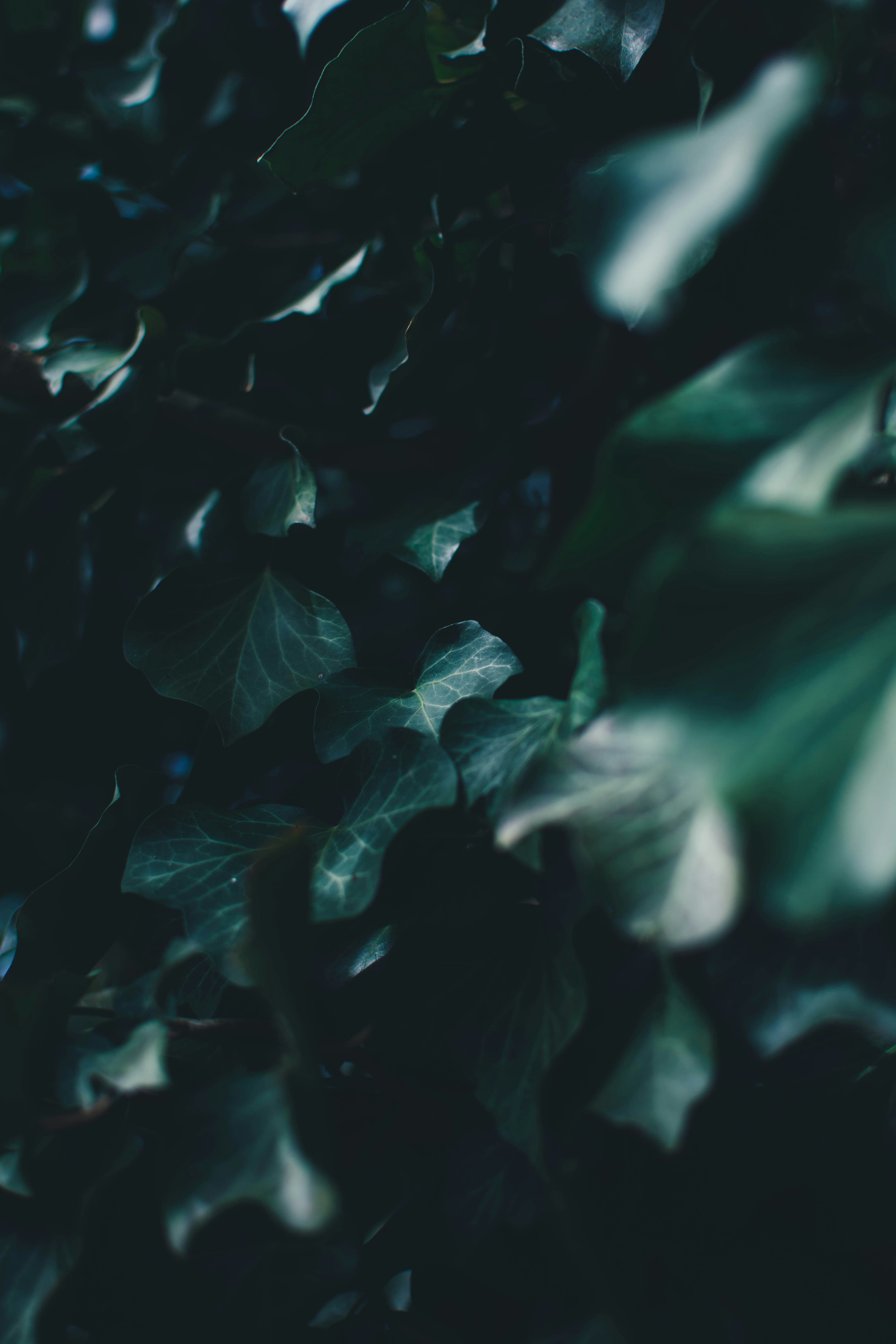 https://images.unsplash.com/photo-1558514863-1fe477f8cce0?ixlib=rb-4.1.0&q=80&fm=jpg&crop=entropy&cs=tinysrgb&w=400&fit=max